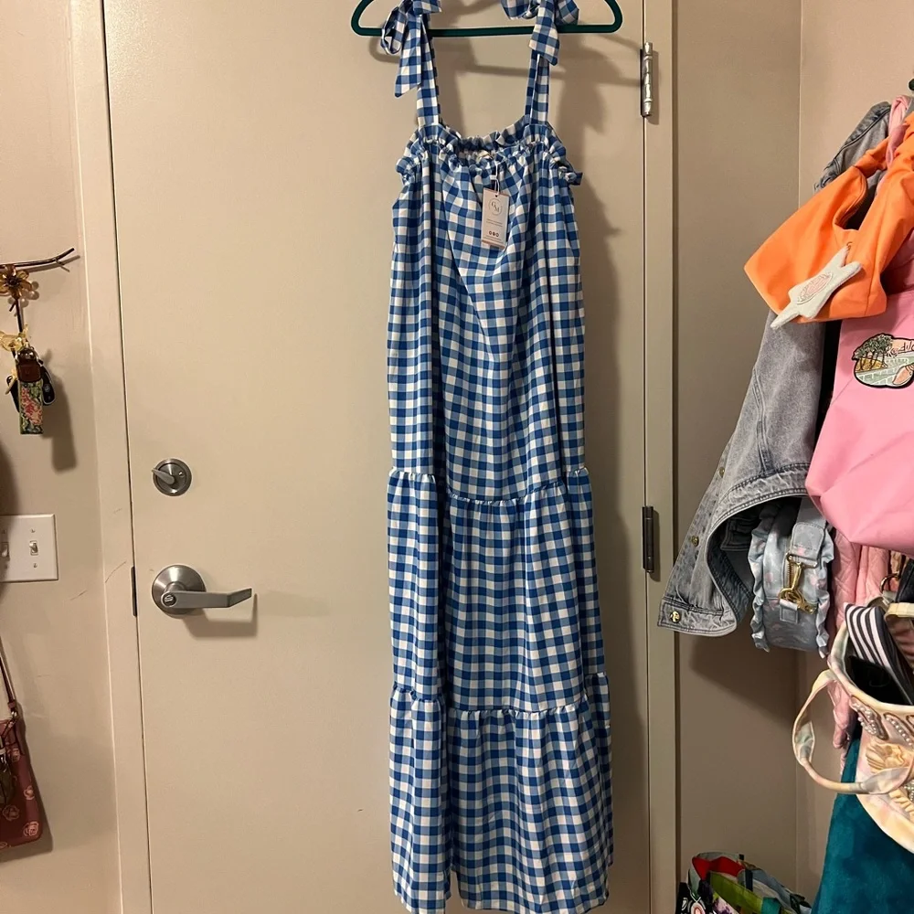Goodnight Macaroon Blue and White Gingham Maxi Dress - Picture 1 of 7